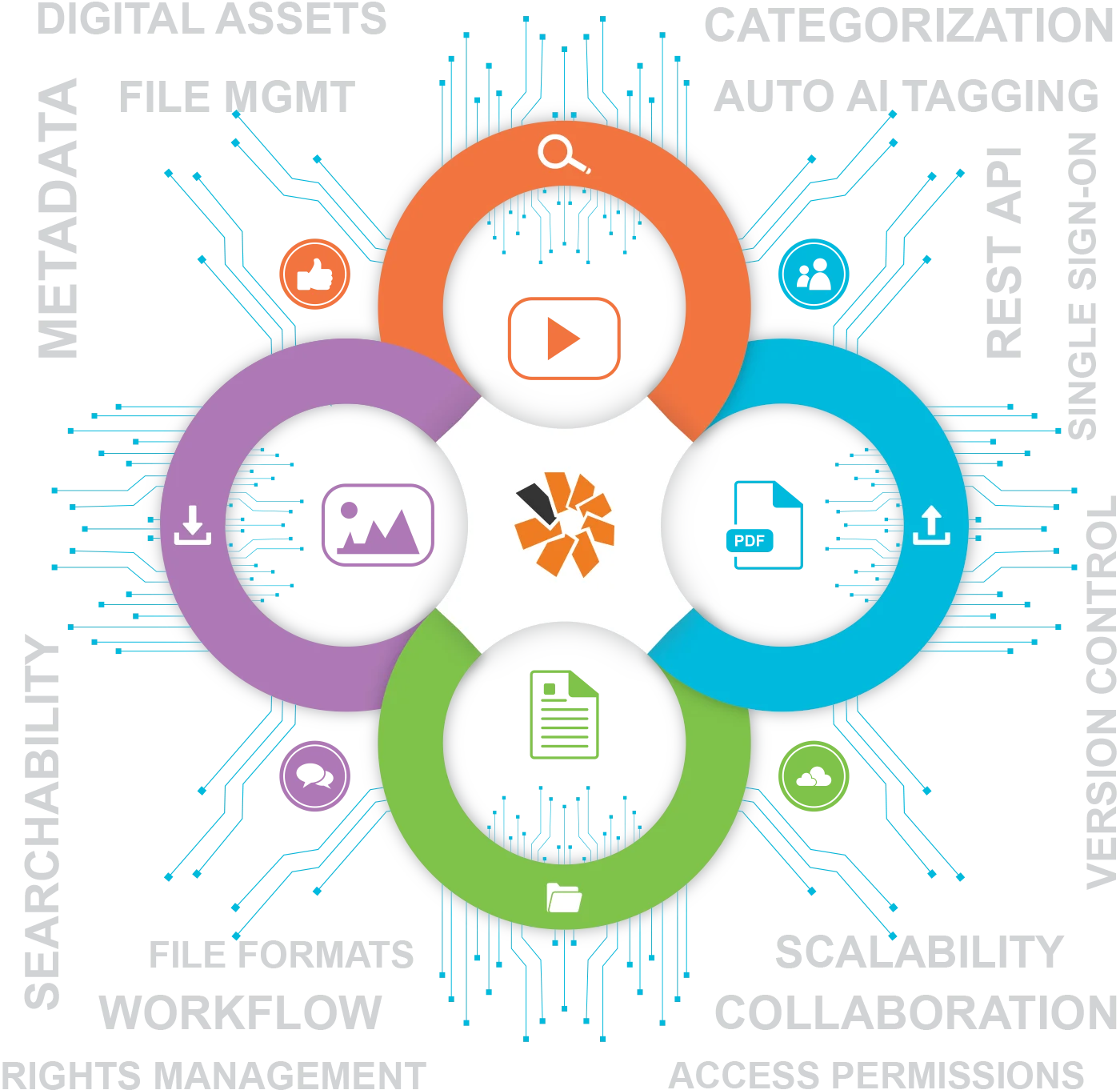 digital asset management illustration